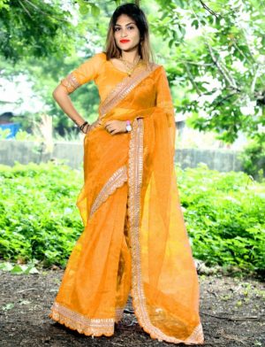 Banglori silk with Embroidery work