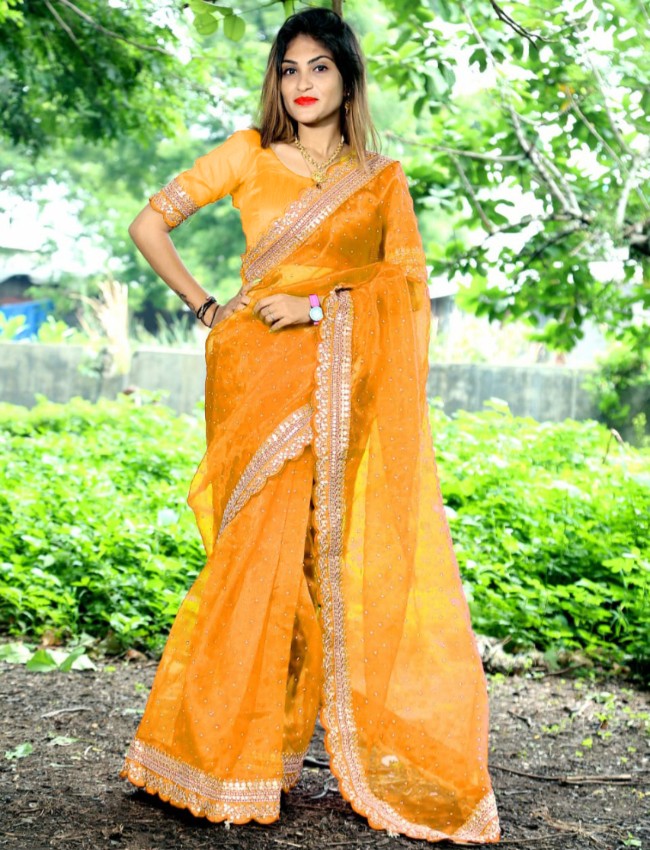 Banglori silk with Embroidery work