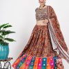 Multi Colour Mirror Work Chaniya Choli3