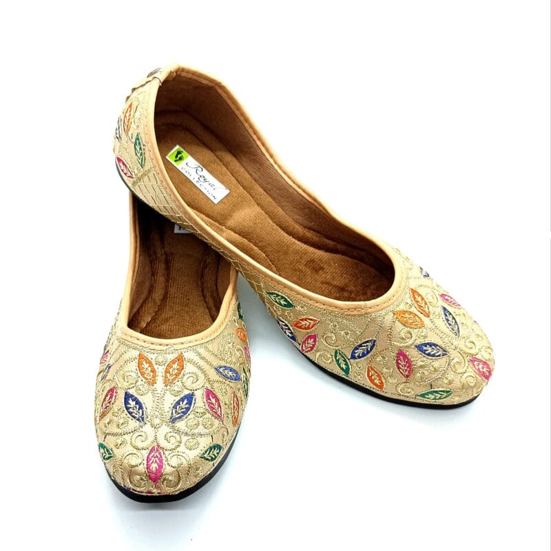 Pakistani Punjabi Cutwork Jutti-Multicolour