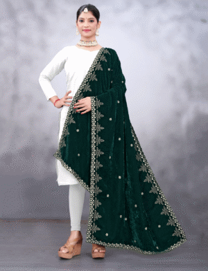 Green Embroidered Velvet Phulkari Womens