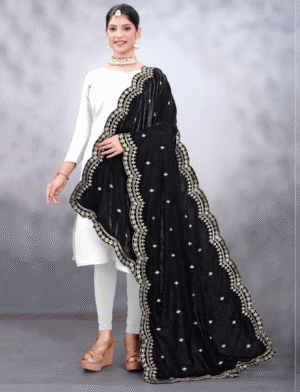 Black Embroidered Velvet Phulkari Womens