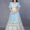 Blue Embroidered Lehnga Choli