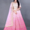 Pink Flared Lehenga Choli
