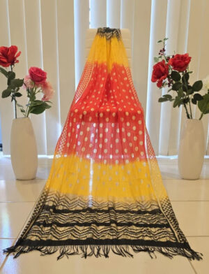 Multi Dark Colour Dupatta