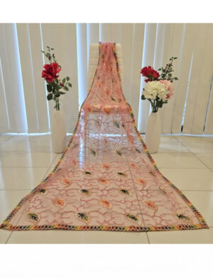 Multi-colour Embroidered Dupatta