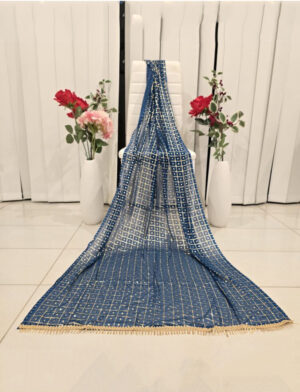 Blue With Golden Embroidery Dupatta
