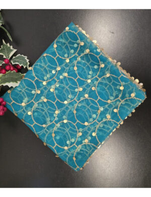 Teal Colour Net Dupatta