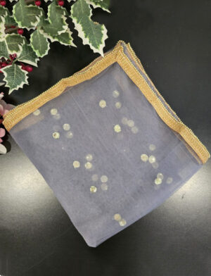 Grey Colour Net Dupatta
