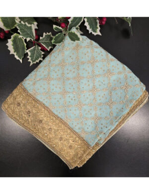 Mint Color With Golden Embroidery Dupatta