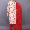 Georgette Punjabi Salwar Suit