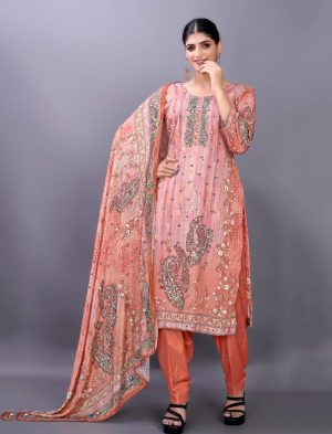 Mirror Work Punjabi Suit